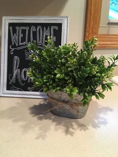 a potted plant sitting next to a welcome sign