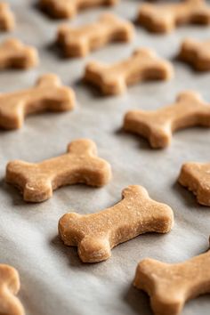 dog biscuits on a baking sheet ready to be baked