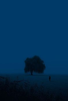 a lone person standing in the middle of a field at night with a tree behind them