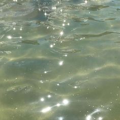 the water is crystal clear and there are many bubbles in it