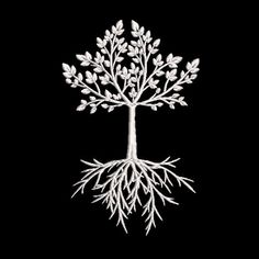 a white tree with roots on a black background