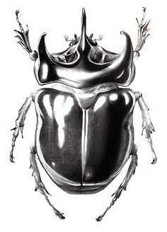 a black and white drawing of a beetle