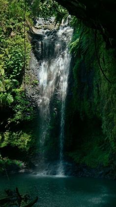 a large waterfall in the middle of a forest filled with lush green plants and trees