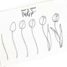 an open notebook with flowers drawn on it and the words how to draw tulip