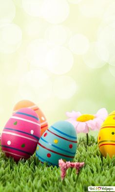 three decorated easter eggs sitting in the grass