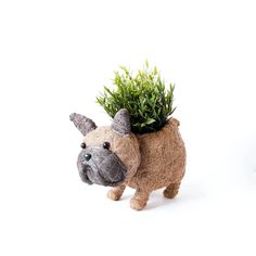 a stuffed animal with a potted plant on its head