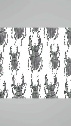 a drawing of a beetle pattern on a white background with black and grey lines in the middle