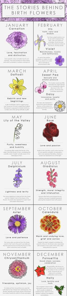 the different types of flowers and their names