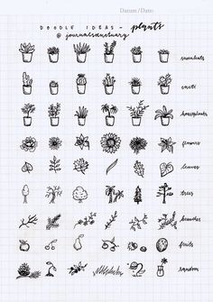 an image of plants drawn on paper