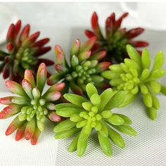 small green and red flowers sitting on top of a table