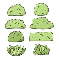 green plants with different shapes and sizes are shown in this cartoon drawing style, including the leaves