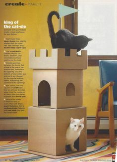 a cat sitting on top of a cardboard castle next to a black and white cat