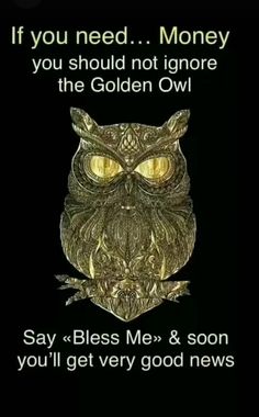 an owl with yellow eyes and the words if you need money, you should not ignore the golden owl