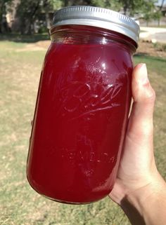 a hand holding a jar of red liquid