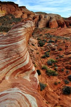 a large rock formation in the middle of a desert with plants growing out of it