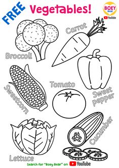 Colour The Vegetables Worksheet, Fruit And Veg Activities For Preschool, Fruit And Vegetables Worksheet Preschool, Vegetables Kindergarten Activities, Coloring Fruits For Kids, Fruits Colouring Pages For Kids, Vegetable Coloring Pages Free Printable, Fruits Coloring Pages For Kids, Vegetables Worksheets Kindergarten