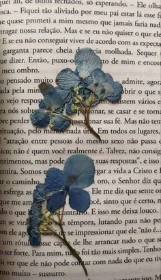 some blue flowers are sitting on top of an open book with spanish text in the background