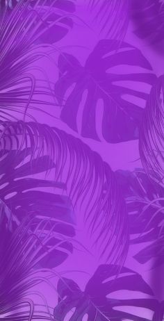 purple palm leaves are shown against a blue background