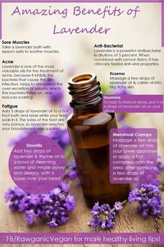 Likely one of the most popular essential oils of all time, Lavender has an enchanting natural chemistry that exhilarates the mind and body. If you feel agitated or stress, calmly inhaling Lavender’s r Benefits Of Lavender, Lavender Benefits, Diy Scrub, Young Living Oils, Oil Uses, Essential Oil Uses, Doterra Essential Oils, Essential Oil Recipes, Back To Nature