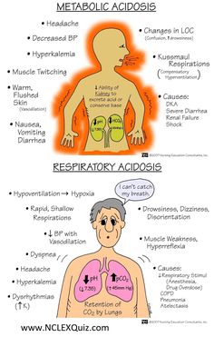 an image of the human body and its major functions in medical practice, including breathing