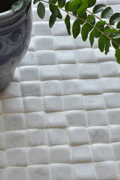 a potted plant sitting on top of a white tile floor