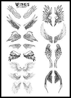 the wings are drawn in black and white