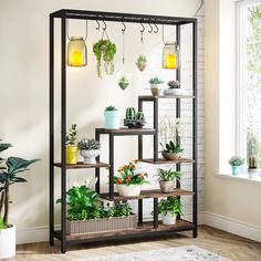 a shelf filled with potted plants in front of a wall mounted planter rack