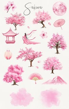 the japanese cherry blossom tree is shown in pink