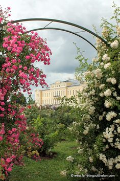 pink and white flowers are blooming in front of a large building with arches over it