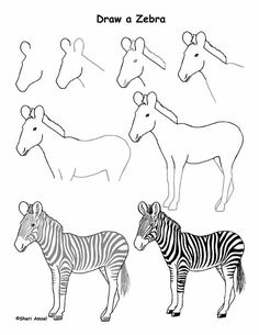 zebras and giraffes are drawn in black and white, with the word draw