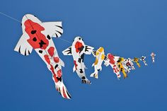 several kites shaped like fish flying in the sky