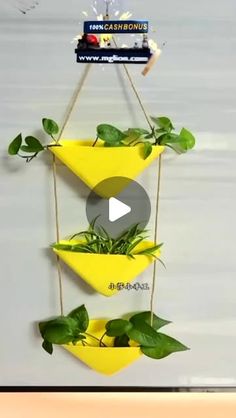 a yellow hanging planter with green plants in it and a video about how to use it