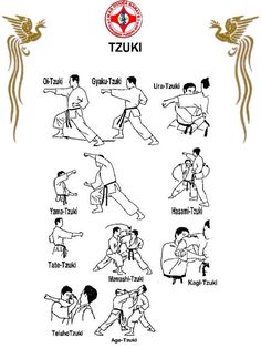 an image of karate moves for beginners to learn in their own martial classes, including the