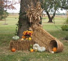 hay and pumpkins are arranged around a tree