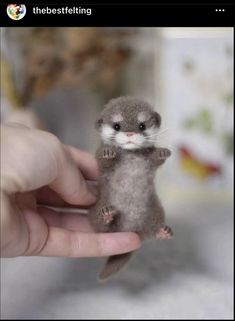 a small stuffed animal is being held in someone's hand