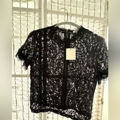 Brand New Black Crop Lace Top. A Basic Piece For Any Wardrobe. Zara Lace Tops For Night Out, Black Lace Top For Party In Spring, Zara Black Lace Top, Casual Black Lace Blouse, Black Lace Top With Short Sleeves For Summer, Black Lace Top For Spring Evening, Chic Black Lace Tops, Casual Black Lace Top For Party, Black Lace Top With Short Sleeves