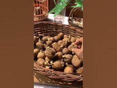 a basket filled with nuts sitting on top of a table