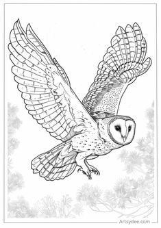 an owl flying through the air with its wings spread