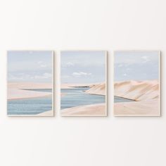 three paintings hanging on the wall next to each other in front of a white wall