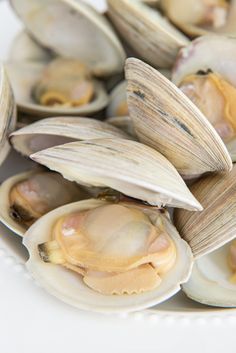 clams on a plate ready to be eaten