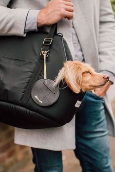 a dog in a black bag being held by a person wearing blue jeans and a gray coat