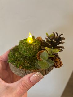 a person holding a small candle with moss and pine cones on it