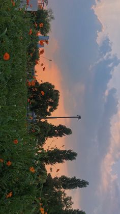 the sky is very cloudy and there are many flowers growing on the side of the road