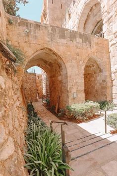 an old stone building with arched doorways and plants in the foreground, on a sunny day