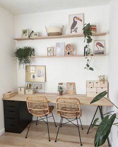 two wicker chairs sitting on top of a wooden desk next to a potted plant