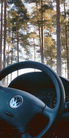 the steering wheel and dashboard of a car in front of pine trees with snow on it