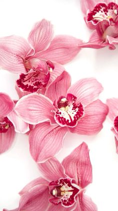 pink orchids are arranged on a white surface