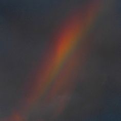 a rainbow appears in the sky above some trees