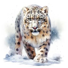 a painting of a snow leopard walking in the snow