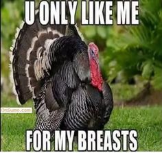 Funny Happy Thanksgiving Images, Happy Thanksgiving Pictures